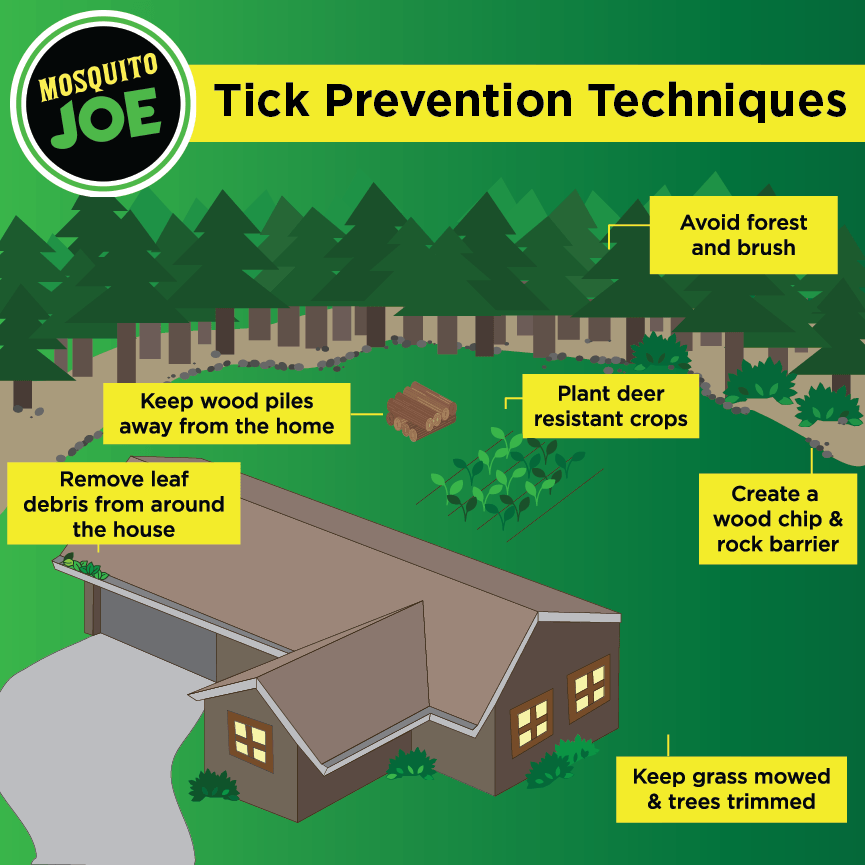 Infographic of house in the woods with yellow boxes around the house with tick prevention tips